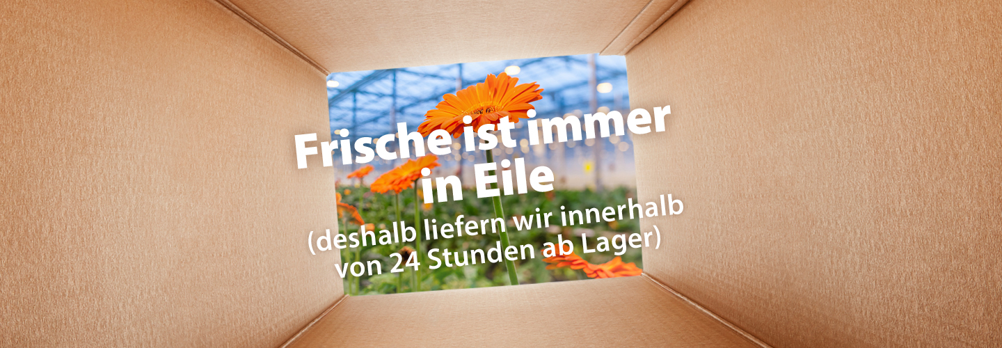 Frische ist immer in Eile