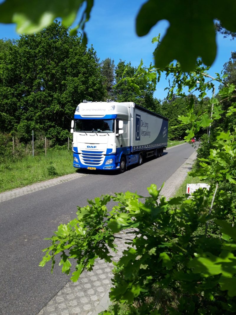 Truck in bushes