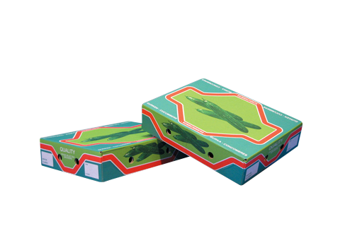 box with lid