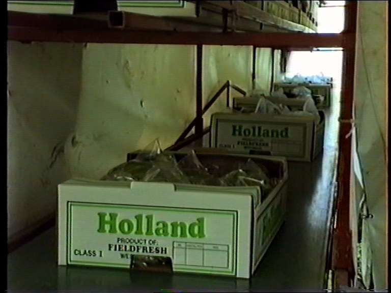 Eerste dozen De Jong Verpakking
