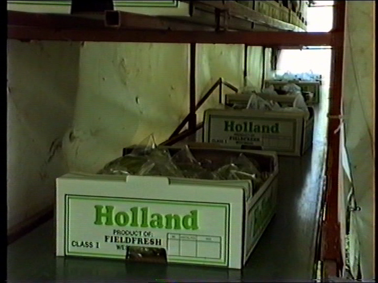 First boxes De Jong